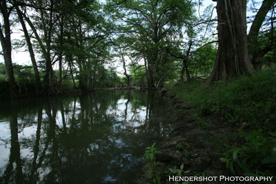 The abundance of water at Brushy Hill Ranch helps support the large numbers of trophy whitetail deer, Rio Grande Turkey and wild hogs. Brushy Hill offers year-round bowhunting at low, low prices - If you're looking for a great place to hunt, at cheap prices, check out Brushy Hill Ranch!