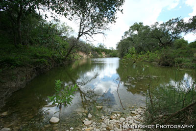 Ranchero creek flowing through the Wil Rehm Pasture at Brushy Hill Ranch. For great South Texas Bowhunting at reasonable prices, check out Brushy Hill Ranch - www.BrushyHill.com Trophy Whitetail hunting at affordable prices. 