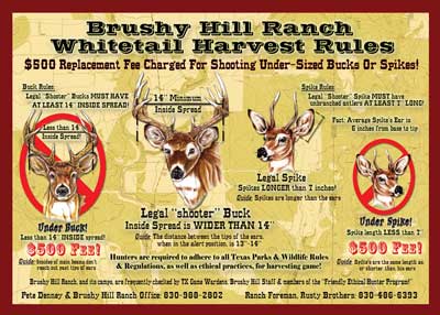 Click here to view our 'Whitetails Harvest Rules' poster. Brushy Hill employs a management policy that ensures hunters will find a strong population of trophy whitetail deer at the ranch, year after year!